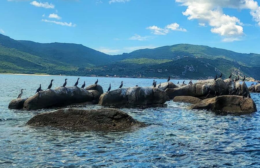GRAND TOUR SITES CLASSÉS Vision sous-marine,baignade,boisson - Who should book this glass-bottom boat tour?
