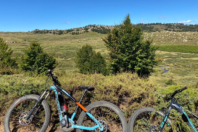 guided ride on the Plateau du Coscione by electric mountain bike - Why transhumance matters when you ride (not just hike)