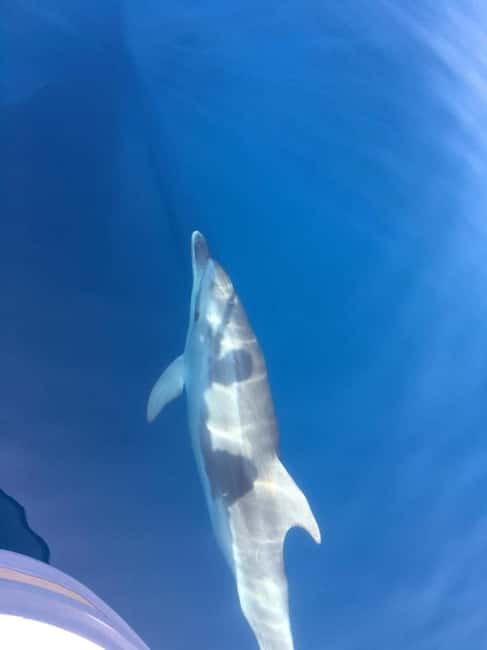 Gulf of Porto: Visit the Calanques de Piana and/or Scandola Reserve - Girolata: a scenic stop that breaks up the big sights