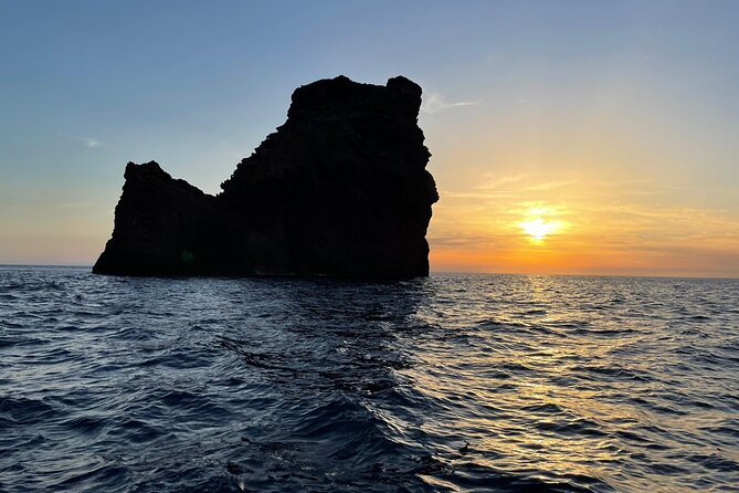 Half Day Boat Trip to Scandola Calanche de Piana - Who This Tour Fits Best, and Who Should Think Twice