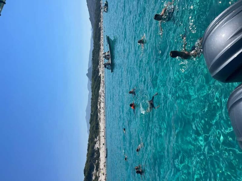 Ile Rousse: desert of the agriates : Saleccia - Ghignu - Saleccia Beach: desert-edge white sand and cows in the distance