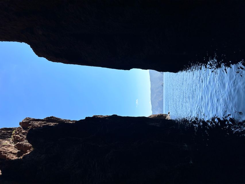 Ile Rousse : Scandola and Girolata - Scandola UNESCO Reserve: What Makes This Boat Trip Special