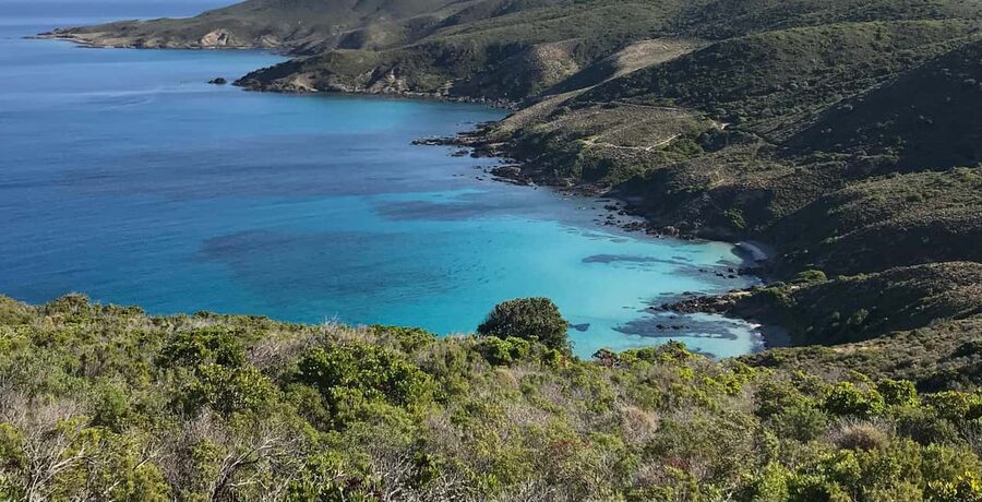 L'Île-Rousse, Corsica Catamaran Excursion: A Day in the Agriates Desert - Who should book this catamaran day, and who might skip it