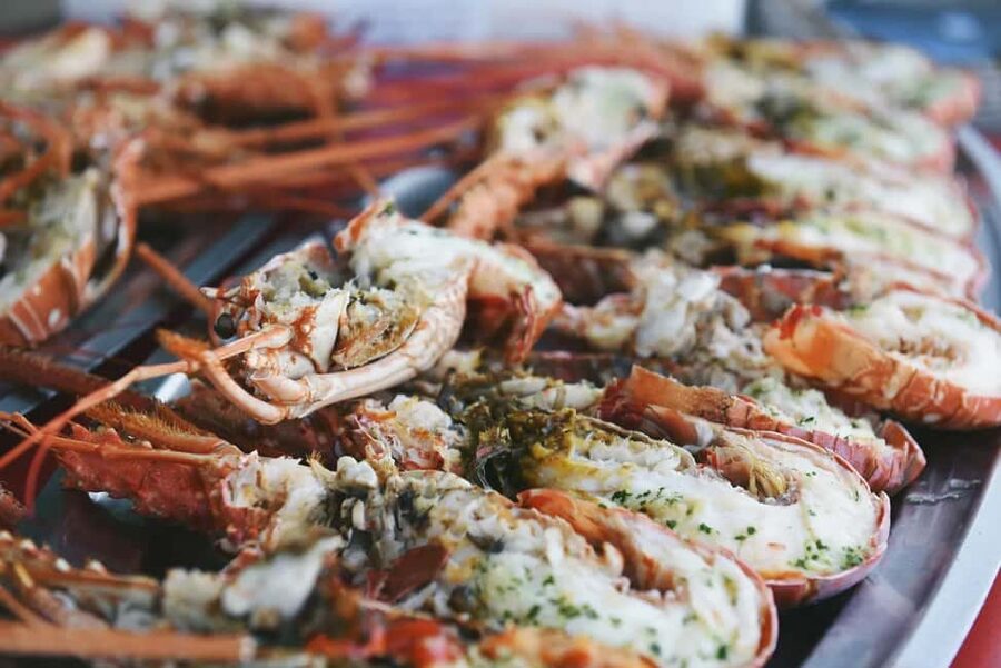 Lunch of lobster pasta in a cove in the Lavezzi Islands - The south-coast route: caves, rock formations, and classic Corsica names