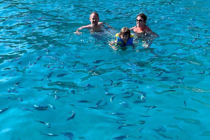 of Sagone/Cargèse Cruise Walk Swimming and Leisure - Plage dArone: the anchor stop where you set the pace