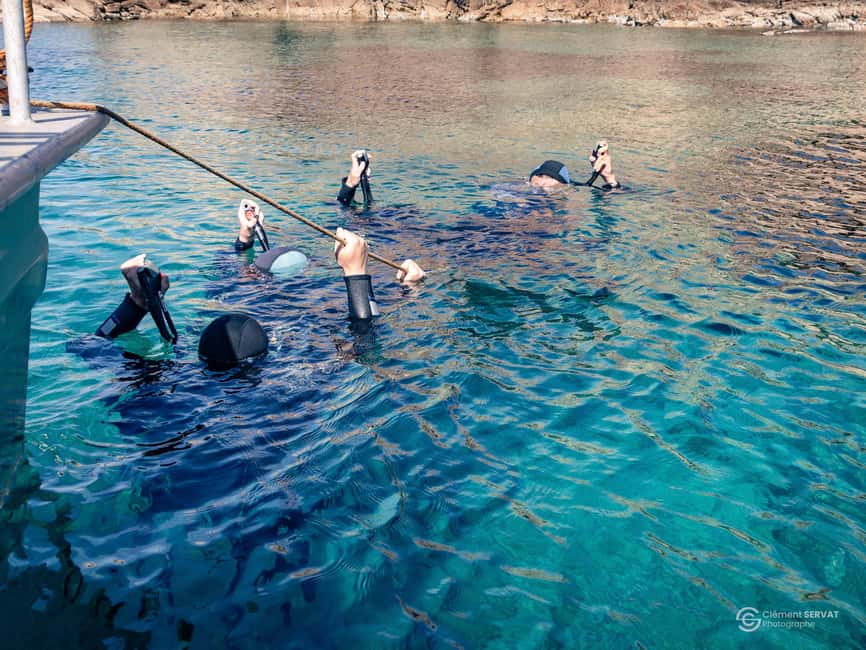 Porto-Vecchio: beginner diving in the Cerbicale Islands in the reserve - Snorkeling, coastal views, and spotting sea life