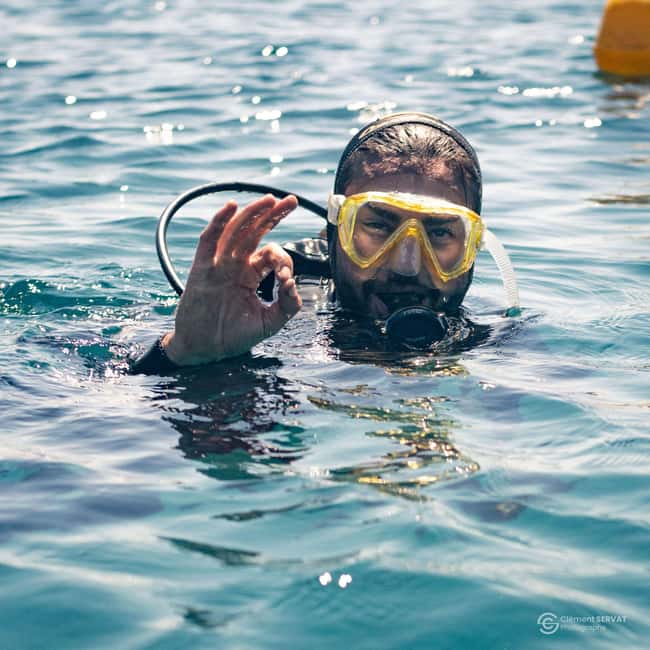 Porto-Vecchio: beginner diving in the Cerbicale Islands in the reserve - Price and value: why $171 feels reasonable for a beginner intro