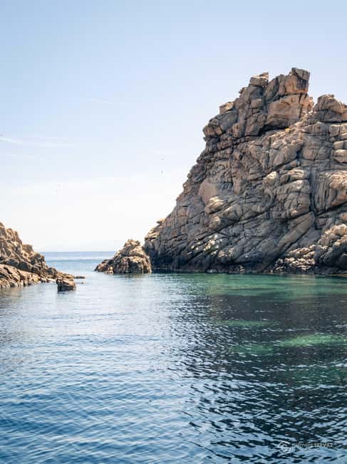 Porto-Vecchio: beginner diving in the Cerbicale Islands in the reserve - Who this suits best, and who should skip