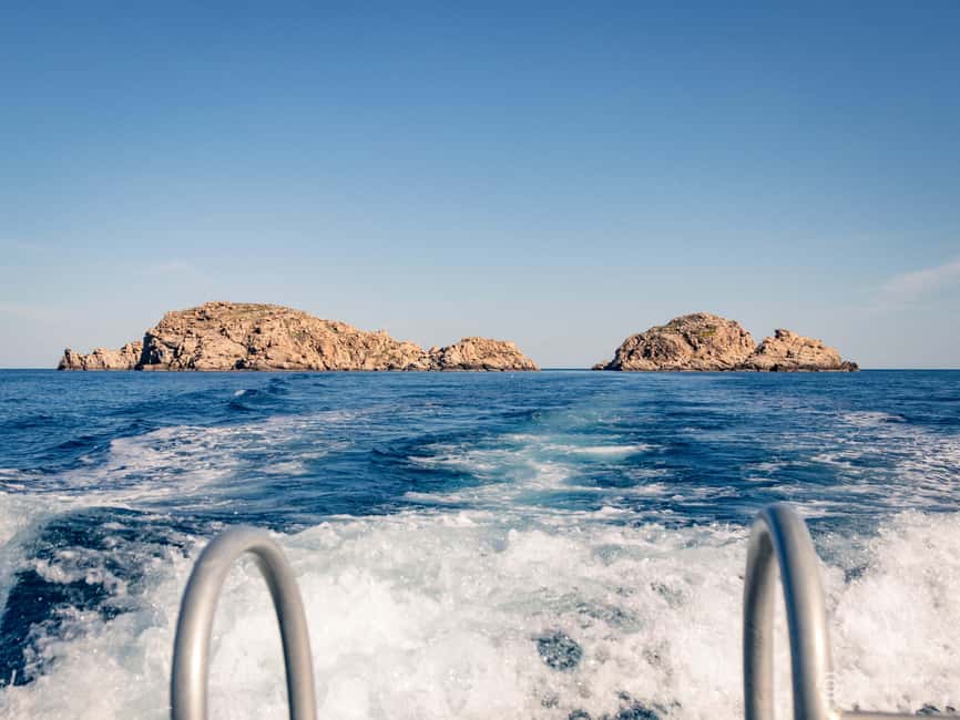 Porto-Vecchio: beginner diving in the Cerbicale Islands in the reserve - Should you book this beginner scuba session near the Cerbicale Islands?