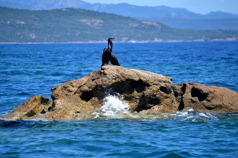 Porto-Vecchio : Boat Trip to Lavezzi, Caves & Bonifacio - Sperone aperitif on the water, then Bonifacio’s cliffs and caves
