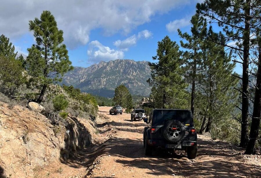 Porto Vecchio: Cuscionu Plateau & Alta Rocca 4x4 Tour - Key Things That Make This Tour Work