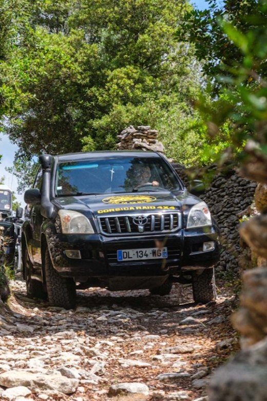 Porto Vecchio: Cuscionu Plateau & Alta Rocca 4x4 Tour - Entering The Inland World From Porto Vecchio