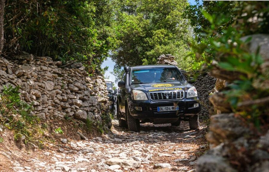 Porto Vecchio: Cuscionu Plateau & Alta Rocca 4x4 Tour - Stop One: Viewpoints Where the Photos Actually Make Sense