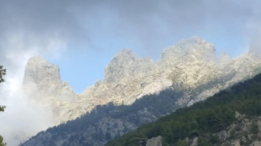 Porto Vecchio: Cuscionu Plateau & Alta Rocca 4x4 Tour - Lunch in the Mountains: A Meal That Ends the Day’s Work