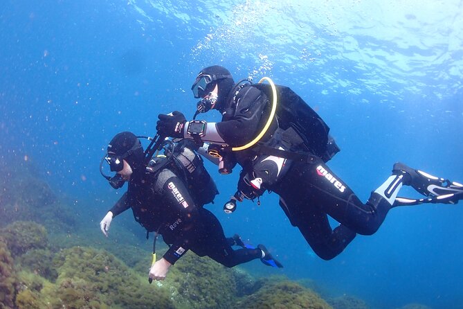 Private diving baptism in the Golf of Calvi - Where You Meet, What You Can Expect Before Getting Into the Water