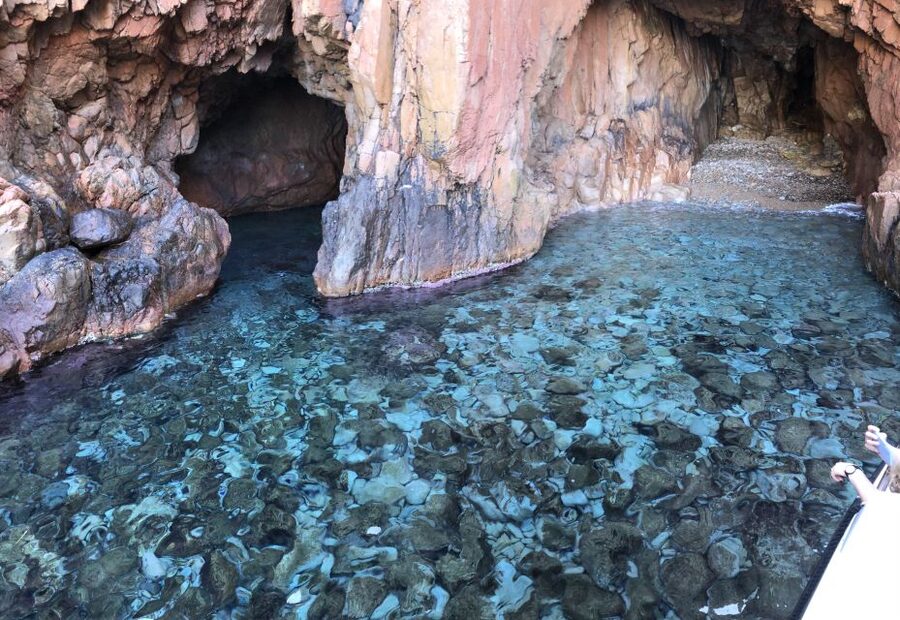 Sagone/Cargèse: Scandola, Piana, Girolata Cruise W/Swimming - Scandola Nature Reserve: wildlife viewing from UNESCO waters
