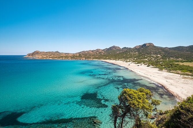 Saleccia and Agriates by Boat from Ile Rousse - Booking reality: what “mobile ticket” and confirmation mean for you