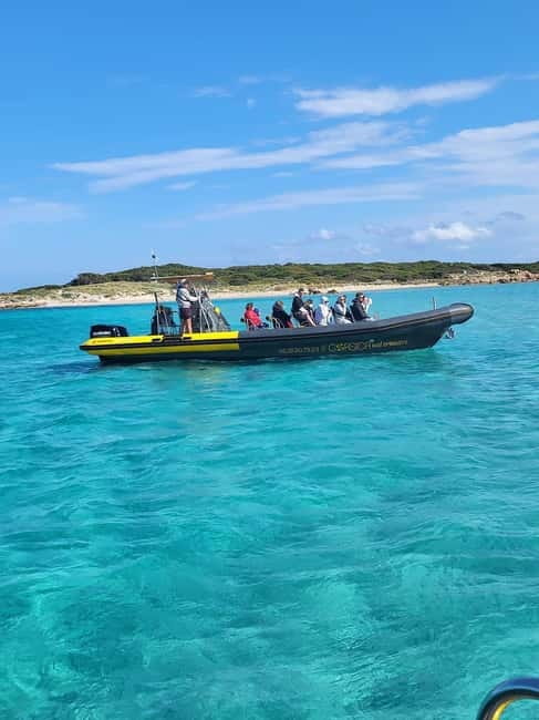 Santa-Giulia: Half-day trip, Lavezzi Islands and Bonifacio cliffs - The Santa Giulia to Bonifacio and Lavezzi idea, in plain terms