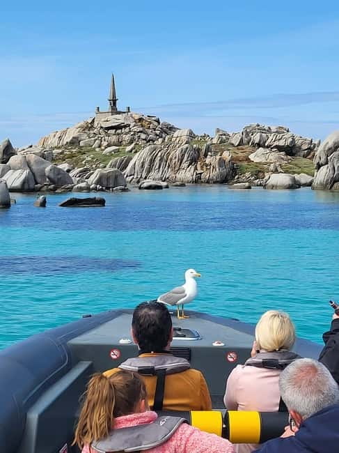 Santa-Giulia: Half-day trip, Lavezzi Islands and Bonifacio cliffs - Meeting point and the 4-hour pacing that actually works