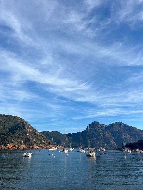 Scandola, Piana & Girolata - Is it worth booking? My straight answer