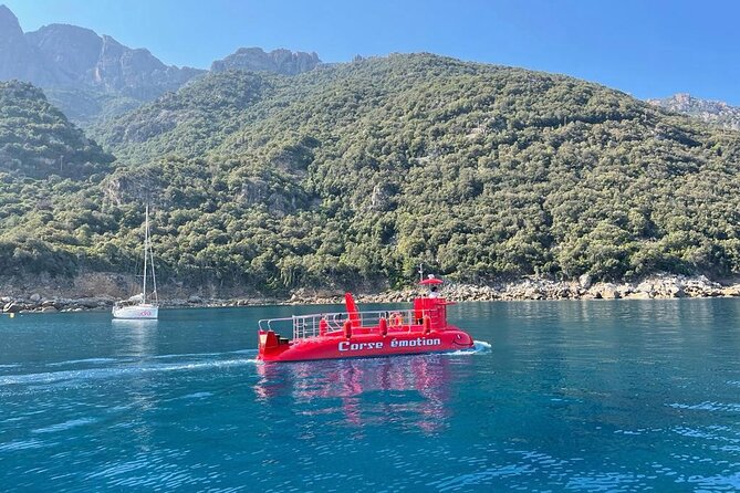 Semi-submarine: visit to the seabed of Porto Bay - Key Things to Know Before You Go