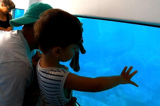 Semi-submarine: visit to the seabed of Porto Bay - A Realistic Look at the Porto Bay Seabed Experience