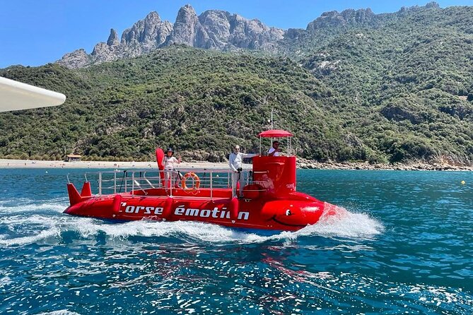 Semi-submarine: visit to the seabed of Porto Bay - The Seabed Circuit: What You See and Why the Captain Matters