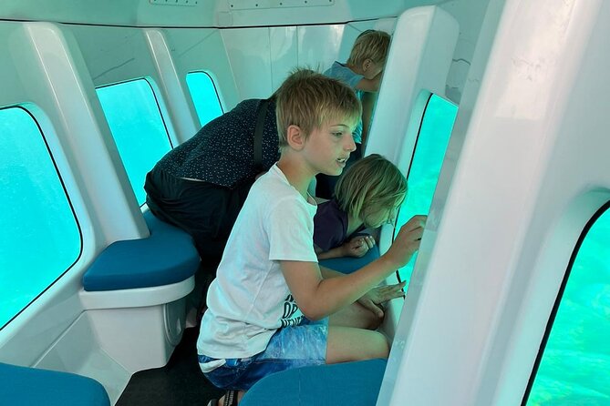 Semi-submarine: visit to the seabed of Porto Bay - Price and Value: Is $30.10 Worth It?