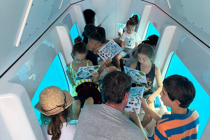 Semi-submarine: visit to the seabed of Porto Bay - Small-Group Logistics, and a Cruise-Ship Reality Check
