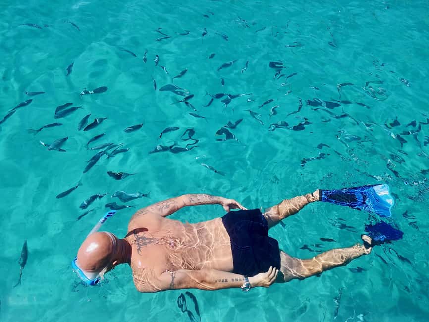 Visite en bateau avec final au COUCHER DE SOLEIL+vin Corse - Price and Value: About $41 for a Real Marine Reserve Day Part