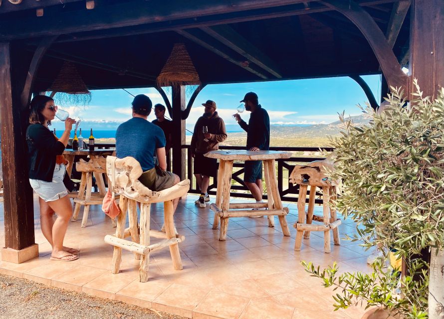Wine tasting around Ile rousse & Calvi with Transport - Key highlights you will care about