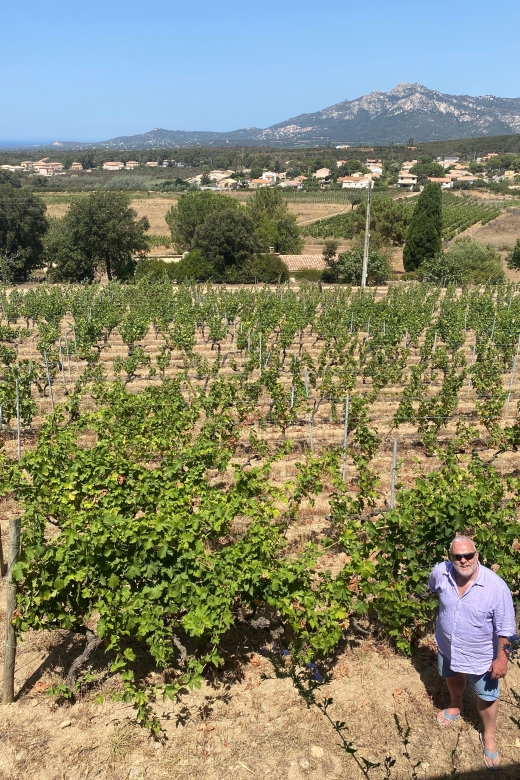 Wine tasting around Ile rousse & Calvi with Transport - Who this tour fits best