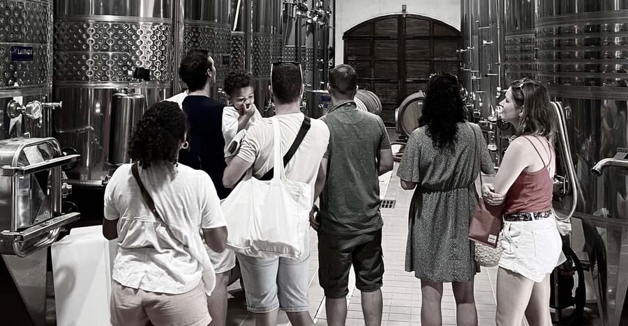 Wine Tasting Saint-Florent & Patrimonio - Key Points To Know Before You Go