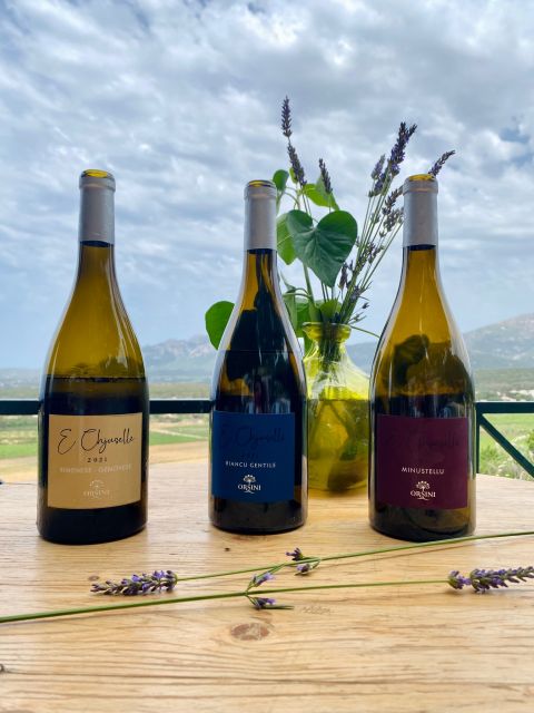 Wine tastings around Calvi & Île-Rousse - Key things I’d circle before you go