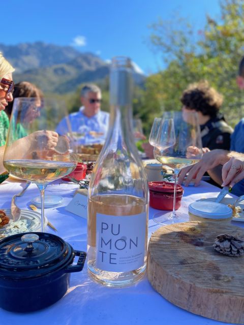 Wine tastings around Calvi & Île-Rousse - The cellar tour, where winemaking stops being abstract