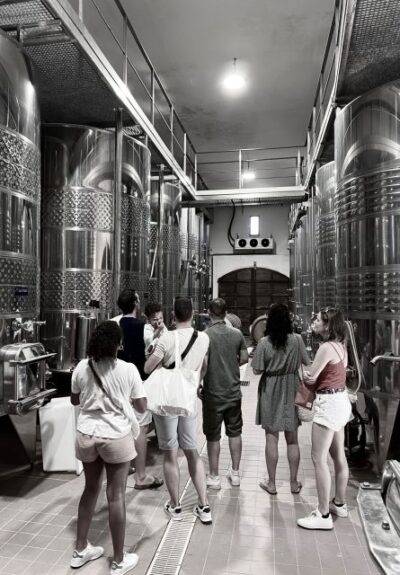 Wine tastings around Calvi & Île-Rousse