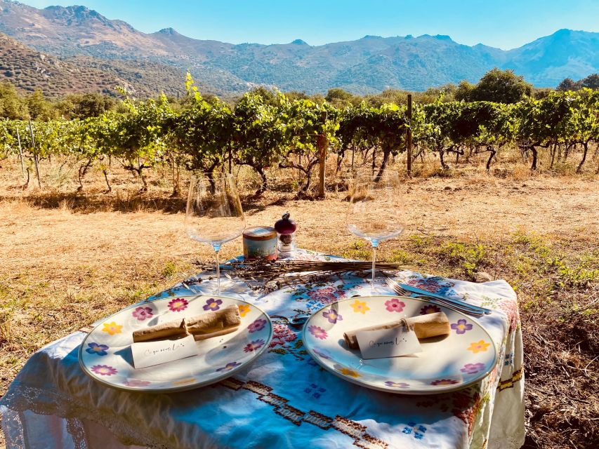 Wine tastings around Calvi & Île-Rousse - Price and time: does $117 feel like value?