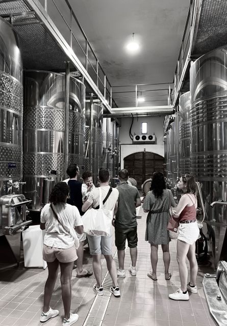 Wine tastings around Calvi & Île-Rousse - Your vineyard day starts with Emilie, Leika, and a live wine story